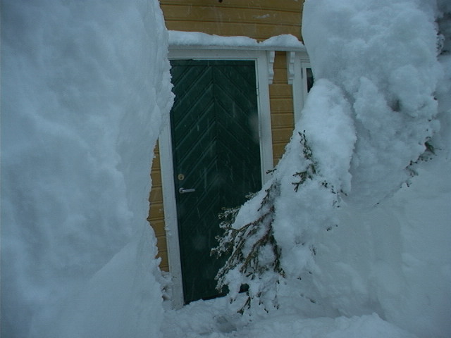 vinter2.jpg
