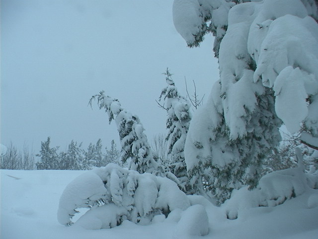 vinter4.jpg