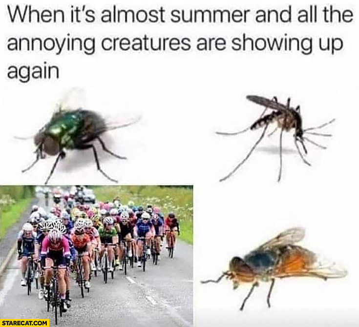 when-its-almost-summer-and-all-the-annoying-creatures-are-showing-up-again-cyclists-insects.jpg