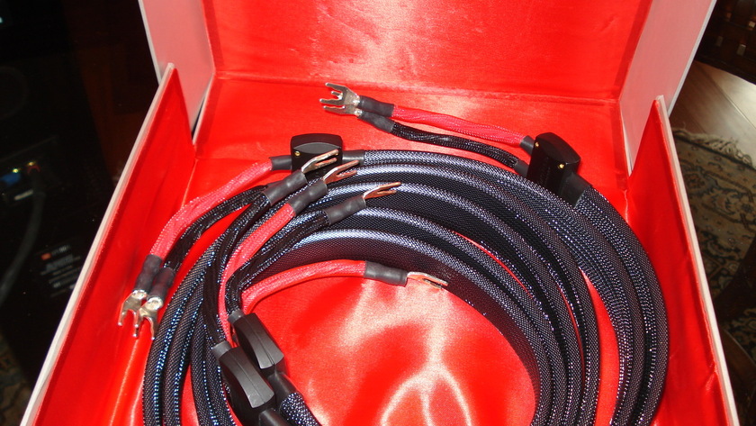 wireworld6_008.JPG