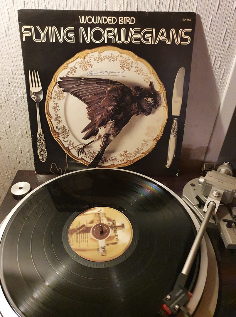 WoundedBird.jpg