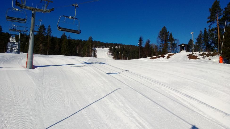 WP_20130327_002[1].jpg