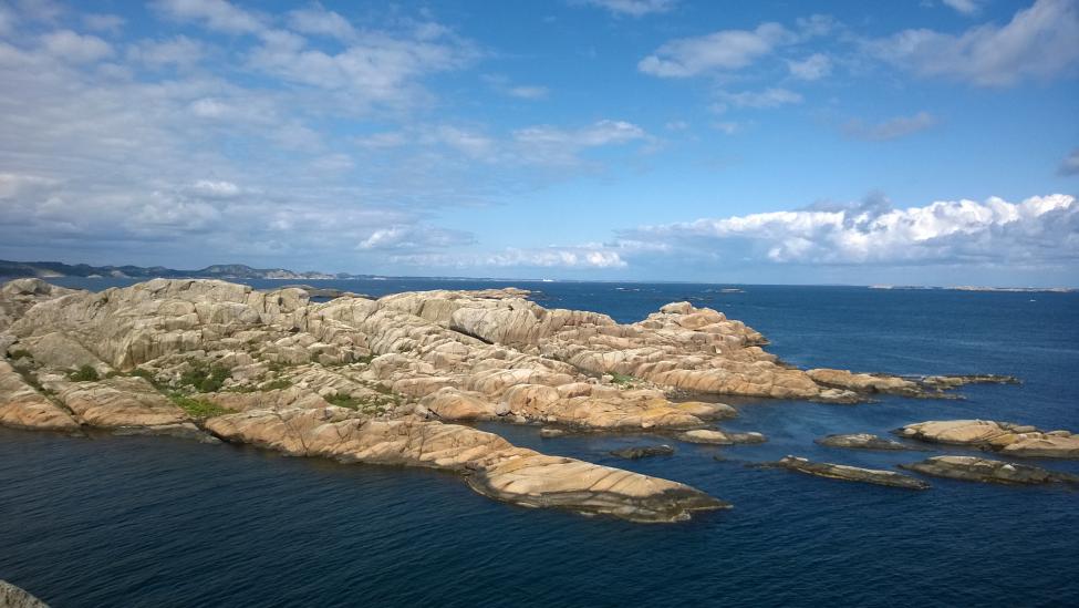 WP_20140627_004[1].jpg