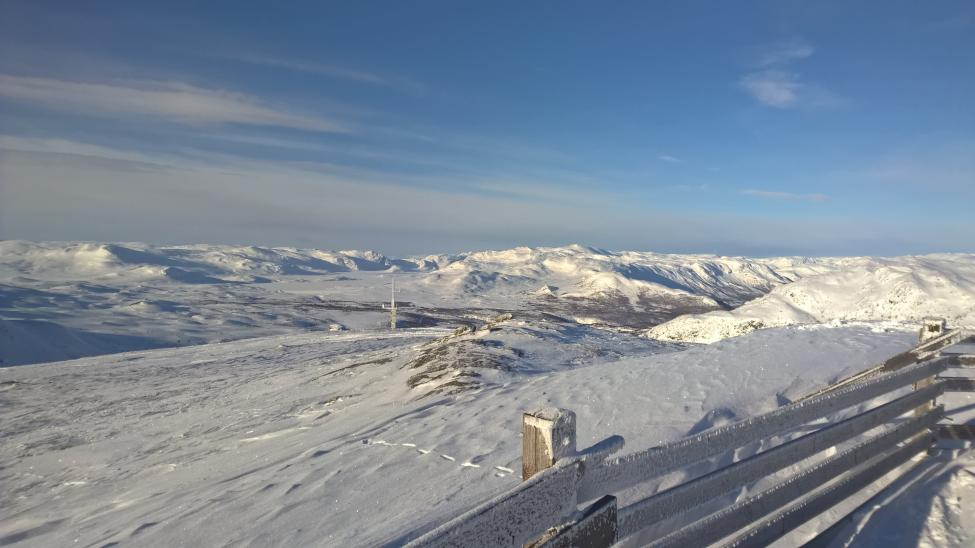 WP_20180217_10_33_00_Pro.jpg