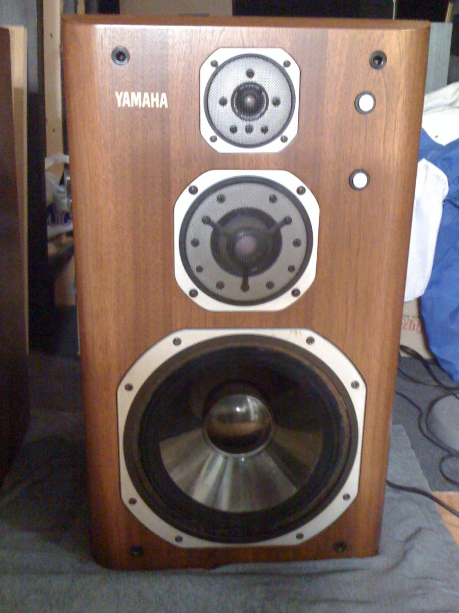 Yamaha NS 2000M Roger 015.jpg