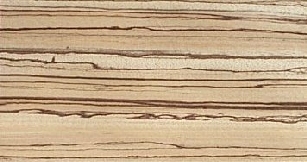 Zebrano_307.jpg