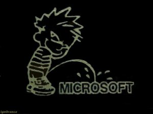 calvin.jpg