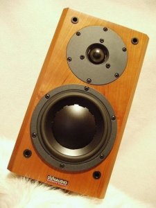 Dynaudio_Focus_110.JPG