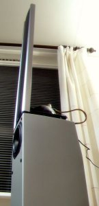 HPIM0399.JPG