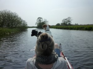 Dogs-in-kayak.jpg