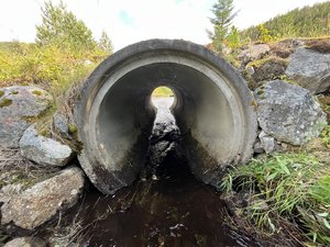 IMG_6663.jpeg