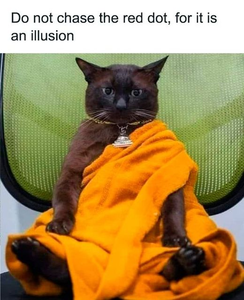 1723741232894.png