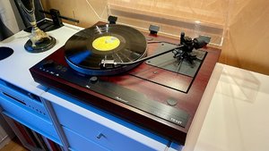 IMG_5073.jpeg