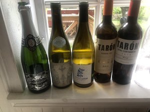 IMG_6837.jpeg