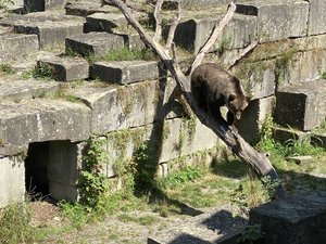 IMG_7723.jpeg