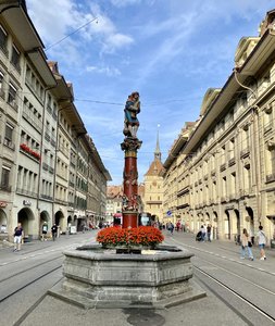 IMG_7931.jpeg