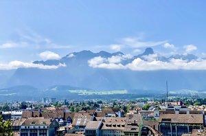 IMG_7978.jpeg