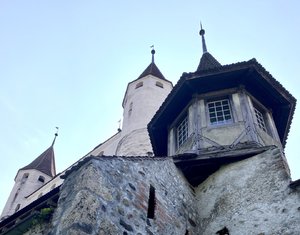 IMG_7987.jpeg