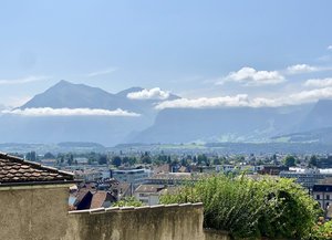IMG_7992.jpeg