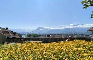 IMG_8006.jpeg