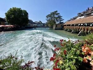 IMG_8057.jpeg