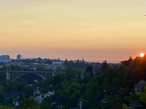 IMG_8119.jpeg