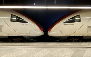 IMG_8252.jpeg