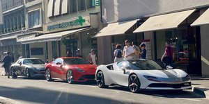 IMG_8266.jpeg