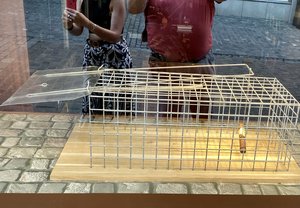 IMG_8268.jpeg