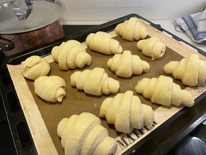 IMG_1179.jpeg