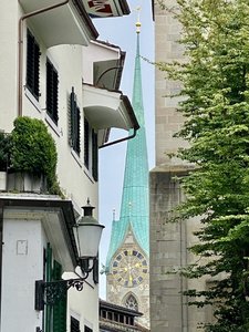 IMG_8350.jpeg