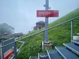IMG_8463.jpeg