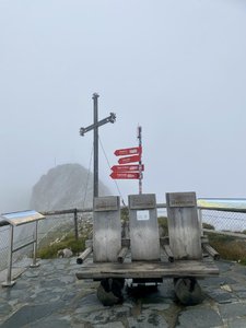 IMG_8479.jpeg