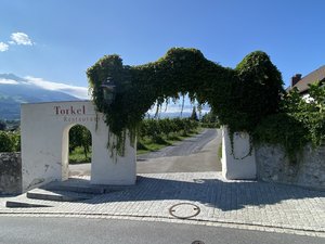 IMG_8620.jpeg
