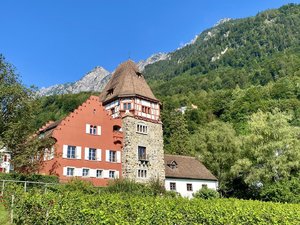 IMG_8624.jpeg
