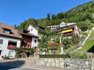 IMG_8647.jpeg