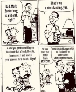 FB_IMG_1725016733933.jpg