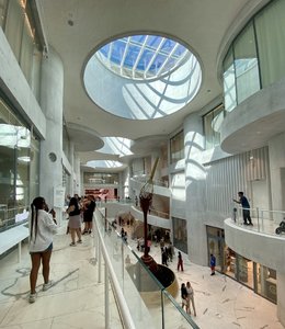 IMG_8784.jpeg