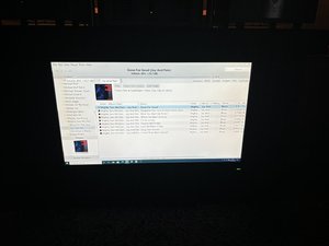IMG_7395.jpeg