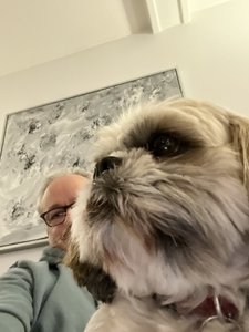 IMG_8766.jpeg