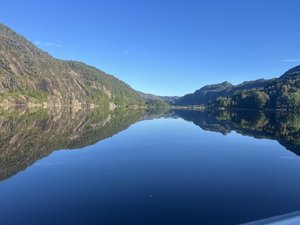 IMG_2356.jpeg