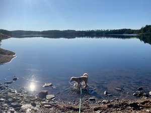 IMG_9699.jpeg