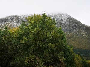 IMG_20240928_103947.jpg