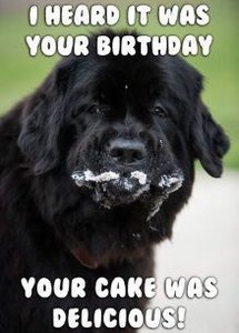 IMG_5757.jpeg