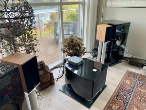IMG_7245.jpeg
