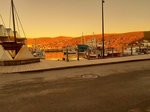 20241012_085957.jpg