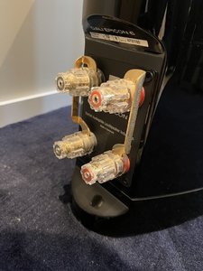 IMG_7930.jpg