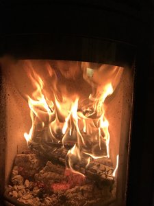 IMG_0682.jpeg