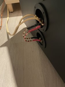 IMG_3770.jpeg