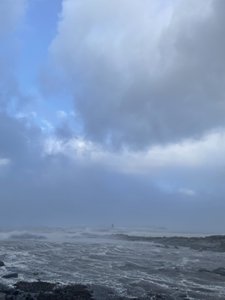 IMG_9233.jpeg